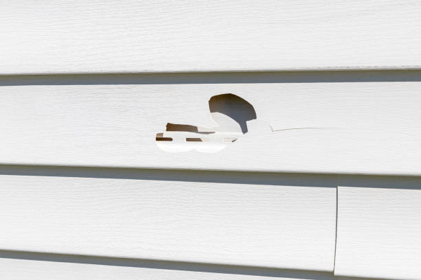 Trusted Netcong, NJ Siding Experts